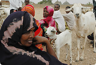 Somalia Ethiopia