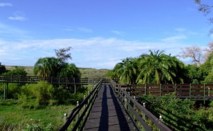 A nature walkway at Keekorok Lodge leads to the bush.