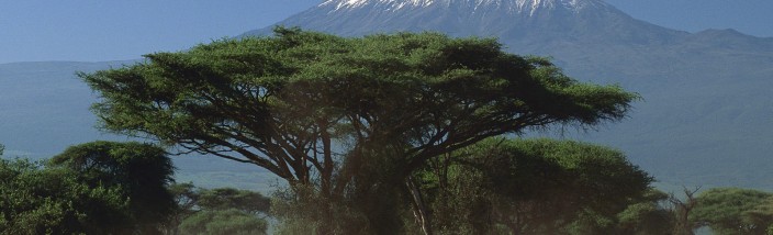 Amboseli National Park Kenya