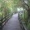 Boardwalk to the Hippo Bar at Keekorok Lodge