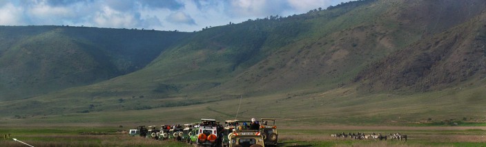 Cheetah watchers - Ngorongoro Crater