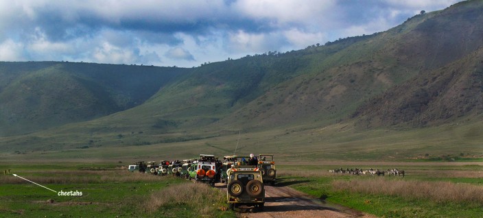 Cheetah watchers - Ngorongoro Crater