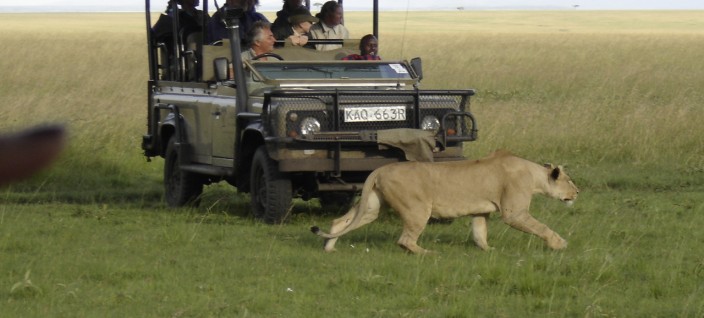 Family safari