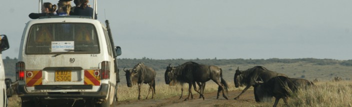 Kenya safari highlights