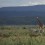 Lake Naivasha National Park