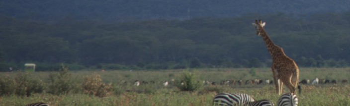 Lake Naivasha National Park