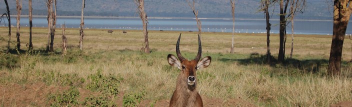 Lake Nakuru