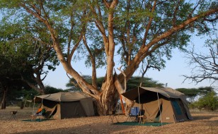 four parks tanzania camping safari