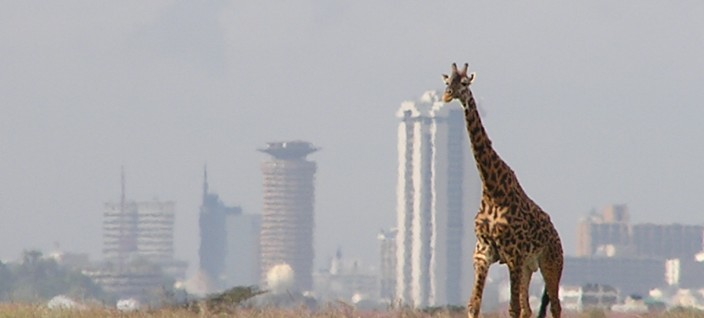 Nairobi National Park