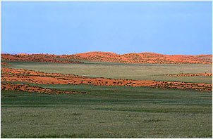 Red Dunes