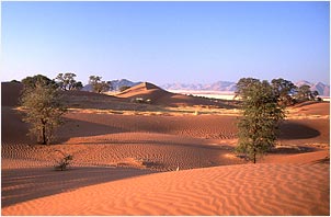 Southern Namibia