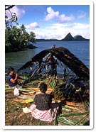 Scene from Pohnpei