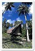 Traditional Yapese House